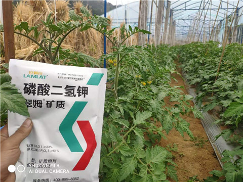 磷酸二氫鉀，拉姆拉，翠姆