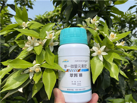 葉面肥，拉姆拉，翠姆