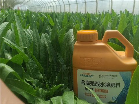 沖施肥，拉姆拉，翠姆