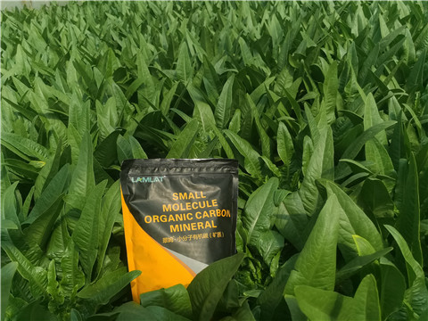 礦源黃腐酸鉀，拉姆拉，翠姆