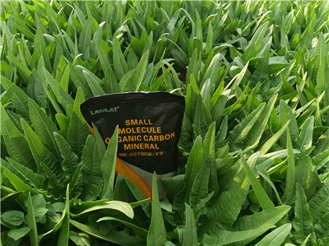 礦源黃腐酸鉀，拉姆拉，翠姆