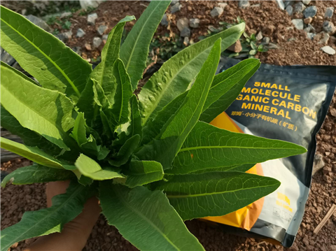 礦源黃腐酸鉀，拉姆拉，翠姆