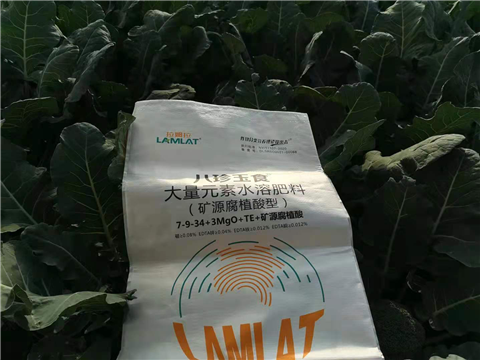 大量元素水溶肥，拉姆拉，翠姆