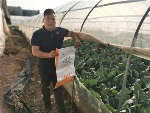 大量元素水溶肥，拉姆拉，翠姆