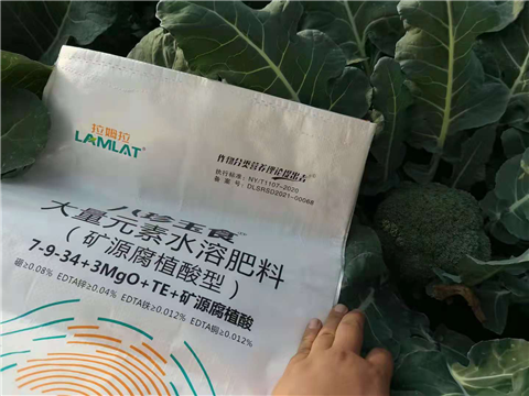 大量元素水溶肥，拉姆拉，翠姆