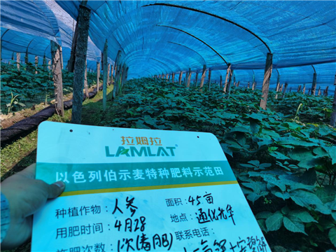 水溶肥，拉姆拉，翠姆