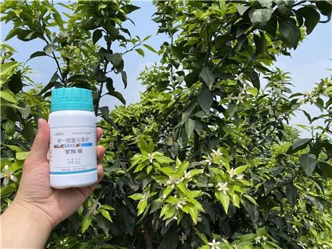 硼肥，拉姆拉，翠姆