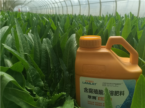 水溶肥，翠姆，拉姆拉