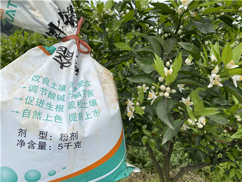 水溶肥，翠姆，拉姆拉