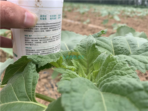 水溶肥，翠姆，拉姆拉