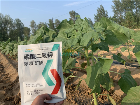 水溶肥，翠姆，拉姆拉