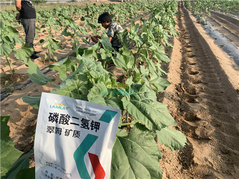 水溶肥，翠姆，拉姆拉