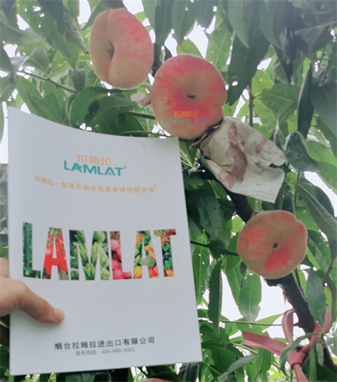 水溶肥，翠姆，拉姆拉