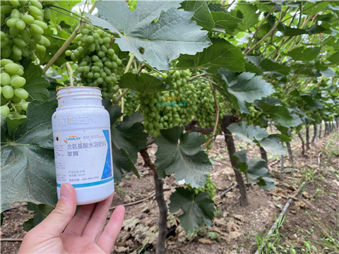 水溶肥，翠姆，拉姆拉