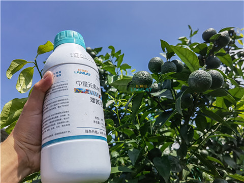 水溶肥，翠姆，拉姆拉