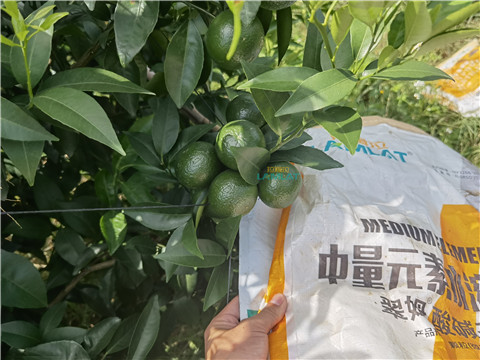 水溶肥，翠姆，拉姆拉