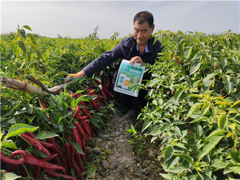 水溶肥，翠姆，拉姆拉