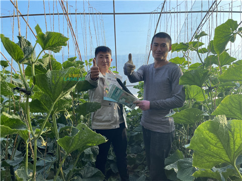 水溶肥，翠姆，拉姆拉