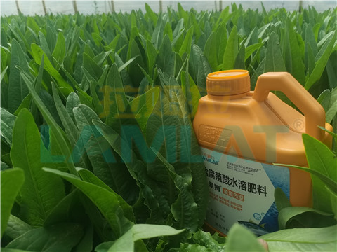 水溶肥，翠姆，拉姆拉