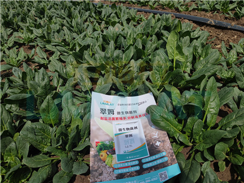 水溶肥，翠姆，拉姆拉