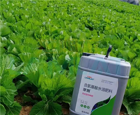 水溶肥，翠姆，拉姆拉