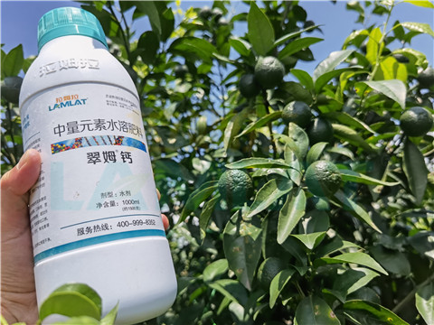 水溶肥，拉姆拉，翠姆