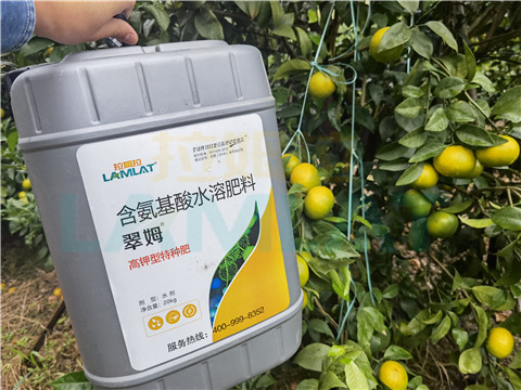 水溶肥，拉姆拉，翠姆