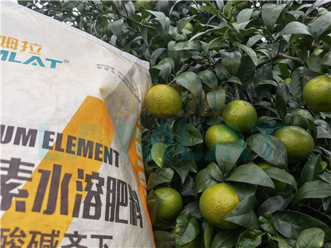 水溶肥，拉姆拉，翠姆