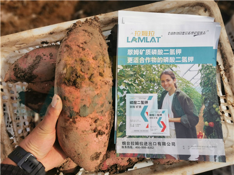 水溶肥，拉姆拉，翠姆