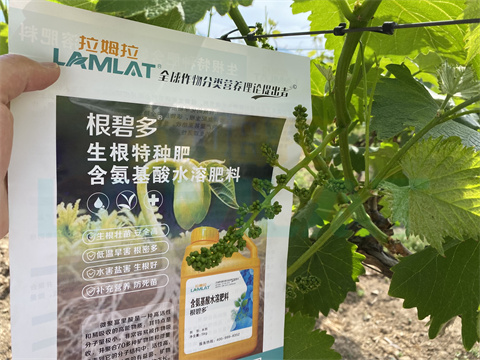 水溶肥，拉姆拉，翠姆