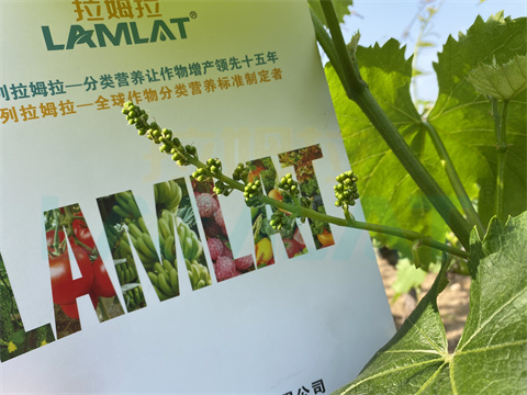 水溶肥，拉姆拉，翠姆