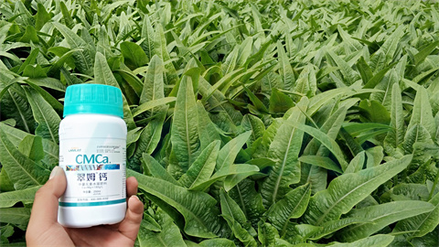 水溶肥，拉姆拉，翠姆