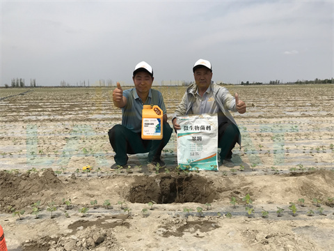 水溶肥，拉姆拉，翠姆