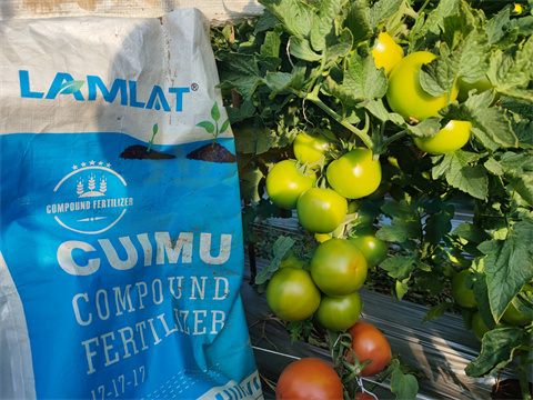 水溶肥，拉姆拉，翠姆