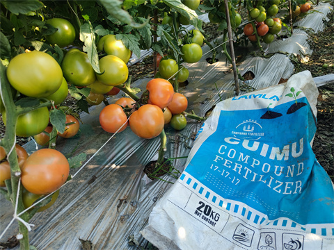 水溶肥，拉姆拉，翠姆