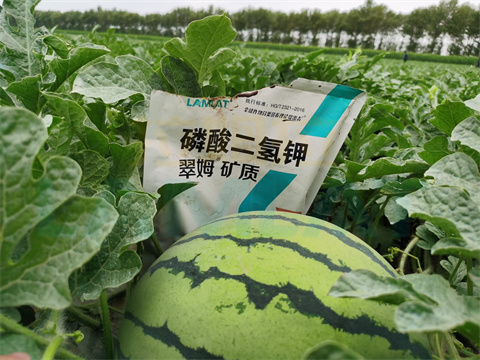 水溶肥，拉姆拉，翠姆