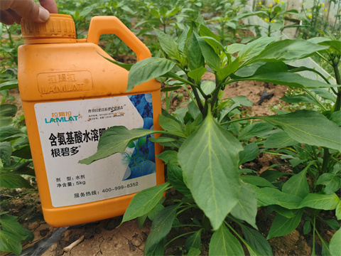 水溶肥，翠姆，拉姆拉