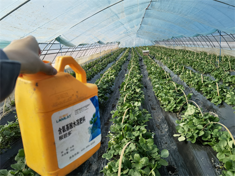 氨基酸水溶肥,翠姆,拉姆拉 氨基酸水溶肥,翠姆,拉姆拉