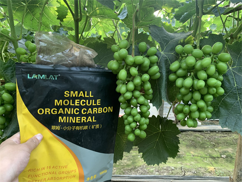 礦源黃腐酸鉀,翠姆,水溶肥廠家 礦源黃腐酸鉀,翠姆,水溶肥廠家