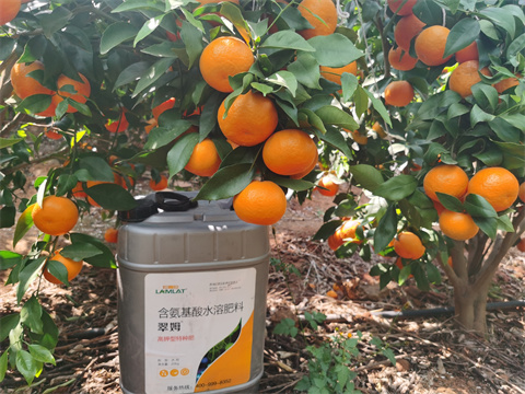 水溶肥,翠姆,柑橘 水溶肥,翠姆,柑橘