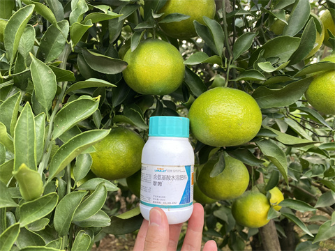水溶肥,翠姆,柑橘葉面肥 水溶肥,翠姆,柑橘葉面肥