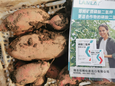 水溶肥品牌,翠姆,紅薯水溶肥 水溶肥品牌,翠姆,紅薯水溶肥