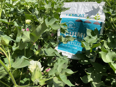 水溶肥,翠姆,棉花水溶肥 水溶肥,翠姆,棉花水溶肥