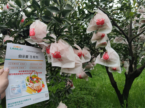 水溶肥,伯示麥,愛媛種植 水溶肥,伯示麥,愛媛種植