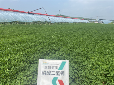 水溶肥,翠姆,花生水溶肥