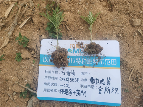 水溶肥,翠姆,萬(wàn)壽菊種植 水溶肥,翠姆,萬(wàn)壽菊種植