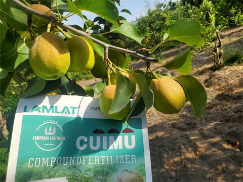 水溶肥,翠姆,拉姆拉 水溶肥,翠姆,拉姆拉