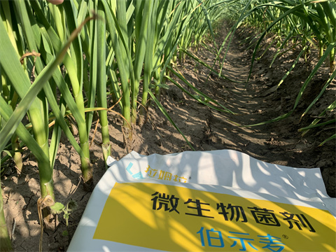 水溶肥品牌,伯示麥,拉姆拉 水溶肥品牌,伯示麥,拉姆拉