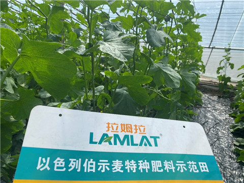 水溶肥,伯示麥,羊角蜜水溶肥 水溶肥,伯示麥,羊角蜜水溶肥