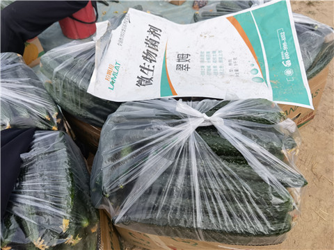 翠姆水溶肥,翠姆,拉姆拉 翠姆水溶肥,翠姆,拉姆拉